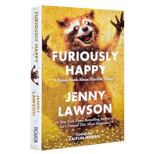 英文原版 焦虑症抑郁症自我治疗 Furiously Happy 