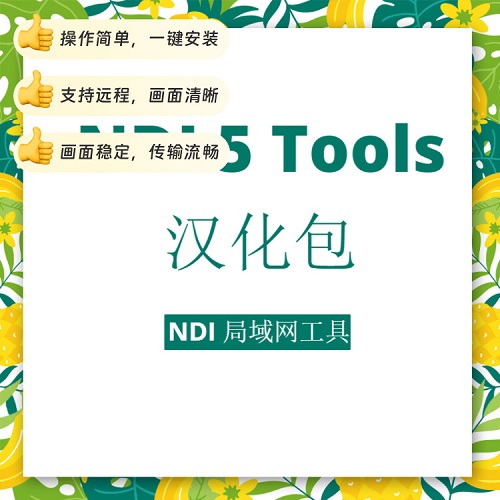 NDI5 tools 汉化包 全套支持远程安装