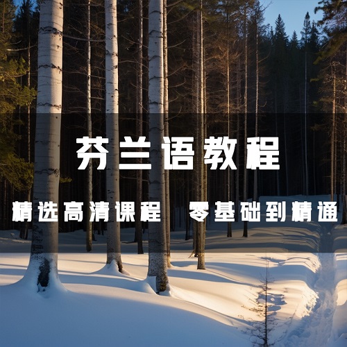 芬兰语全套从小白到精通学习 日常用语旅游