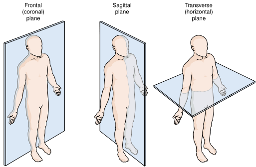 FIG 2.png