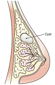 Fig. 1.png