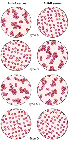 FIGURE 1.png