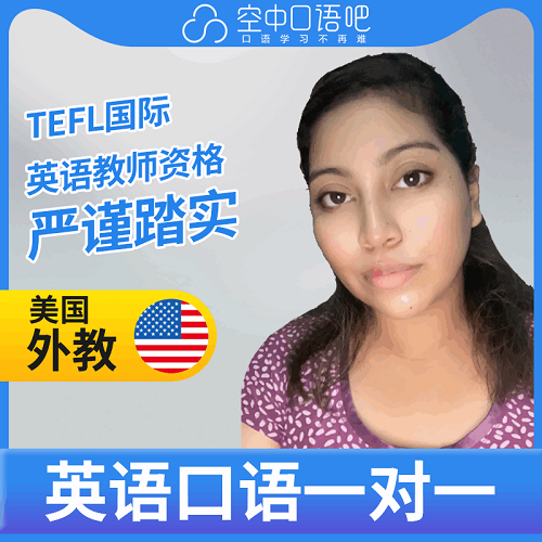美国外教Lish英语口语/西语1对1网课 写作