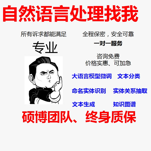 自然语言处理代做 大语言模型微调 知识图谱