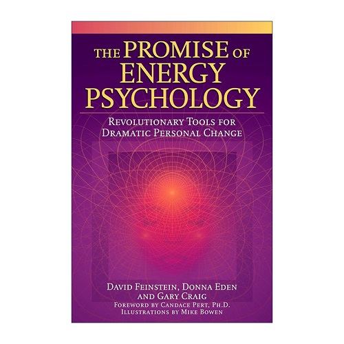 英文原版 能量心理学的承诺 心理治疗指南
