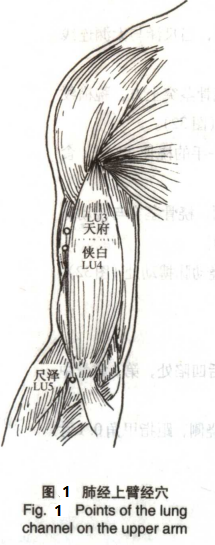 Fig.1.png
