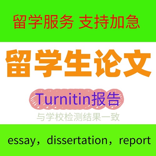 留学生essay 英文毕业论文检测