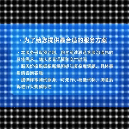 数据标注 图像分割 大模型