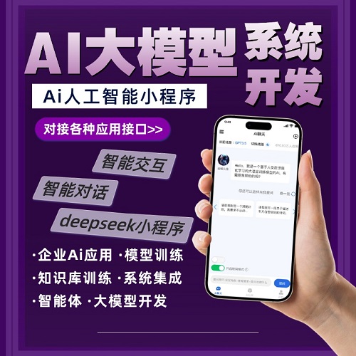AI软件开发 AI大模型问答系统