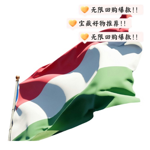 匈牙利商务旅游签证 加急预约审核