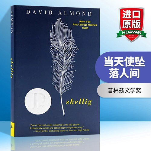 英文原版 Skellig 当天使坠落人间 David Almond