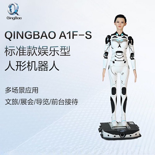 清宝机器人 面部高自由度仿真人形语音交互 文旅展会/前台接待