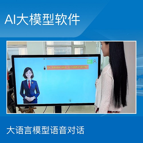AI大模型软件 大语言deepseek 数字人 灵活可编辑 配置要求低