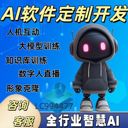 ai软件开发 大模型应用训练 定制数字人