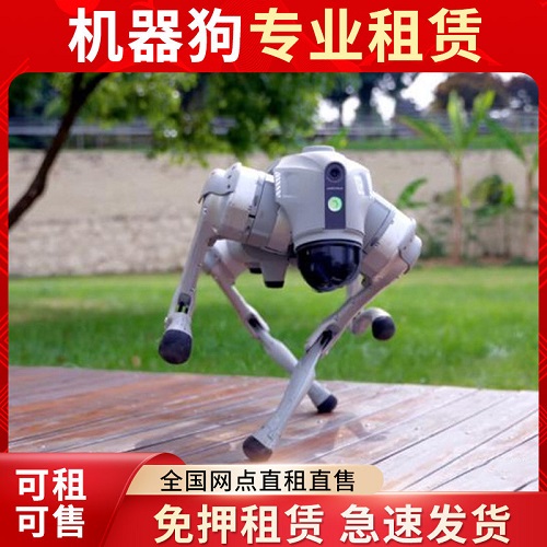 全国租赁宇树Unitree人形机器人 出租四足机器狗