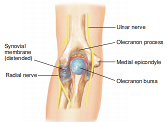 FIGURE 1.png FIGURE 1.png