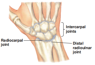 FIGURE 1.png FIGURE 1.png