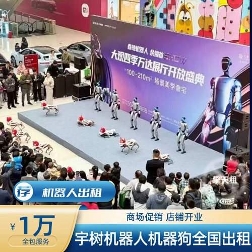 全国文旅表演宣传 宇树机器人跳舞舞蹈出租