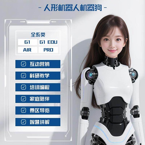 ai人形对话机器人 做家务家政保姆陪