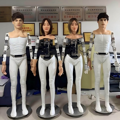 [博士团队] 仿生人形机器人 演艺展示可定制