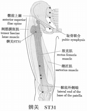 髀关.png 髀关.png