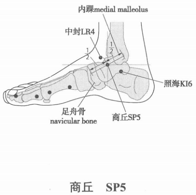 商丘.png 商丘.png