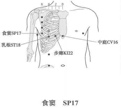 食窦.png 食窦.png