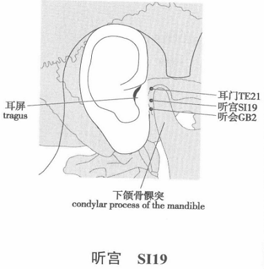 听宫.png