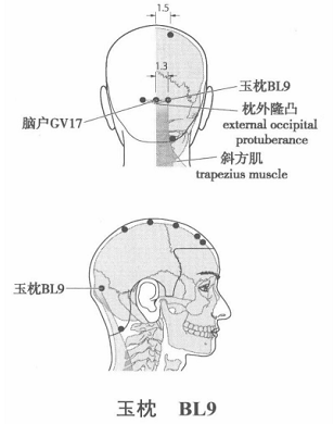 玉枕.png