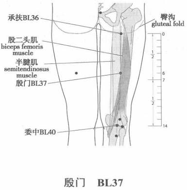 殷门.png