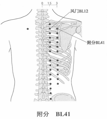 附分.png
