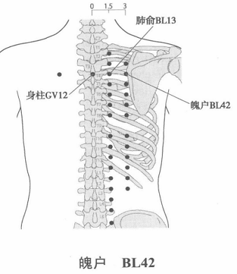 魄户.png 魄户.png
