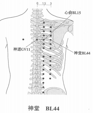 神堂.png