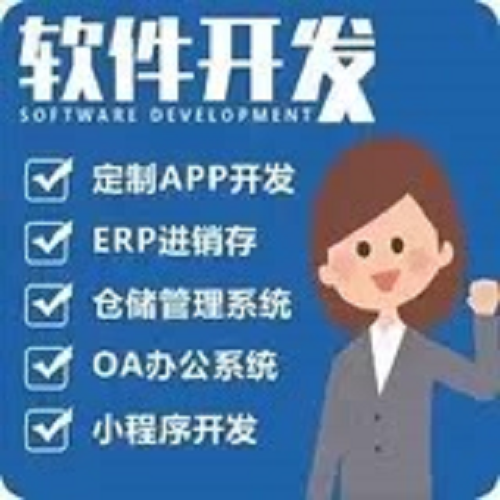 软件公司物联网AI智能体定制开发 二次开发定制