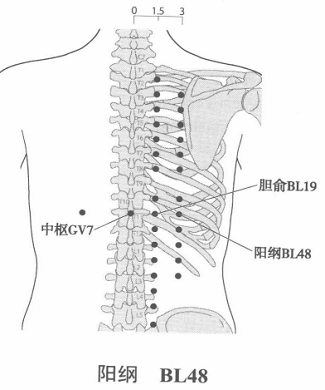阳纲.png