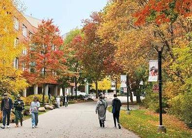 多伦多大学校园景色.jpg