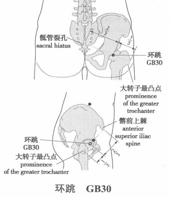 环跳.png