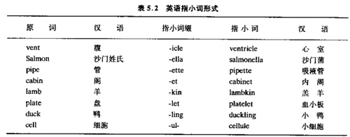 术语规则a.jpg