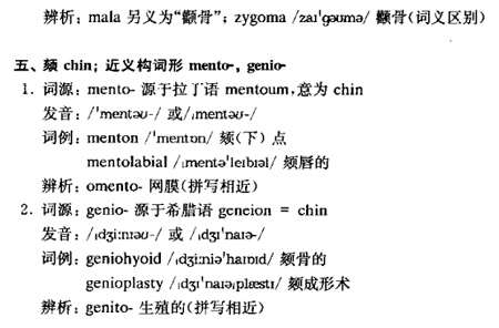 体区d.jpg