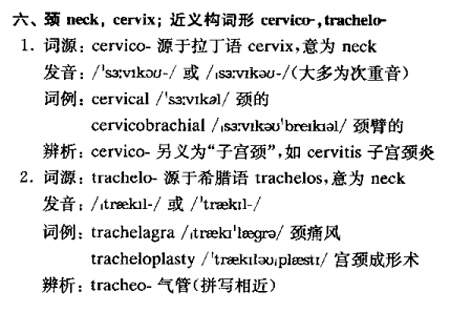 体区e.jpg