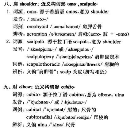 体区g.jpg