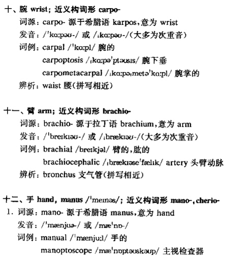 体区h.jpg