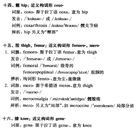 体区j.jpg