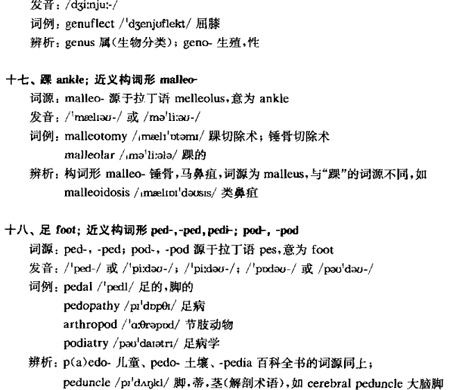 体区k.jpg