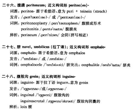 体区p.jpg