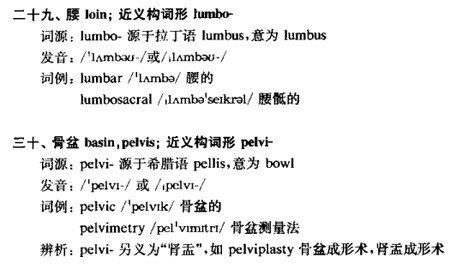 体区q.jpg
