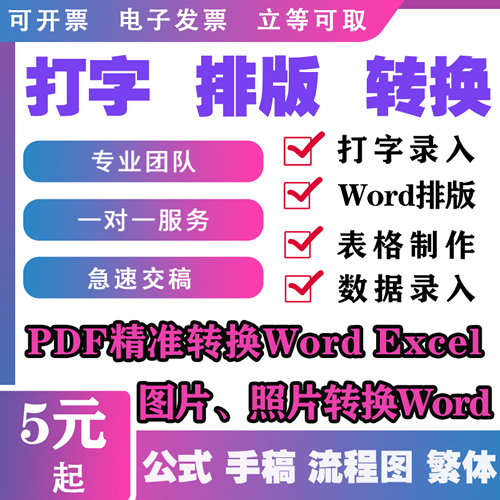 打字服务文字录入人工代做打pdf转word排版