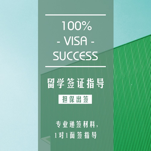 美国F1加拿大英国t4新西兰澳洲香港翻译辅导签证办理 