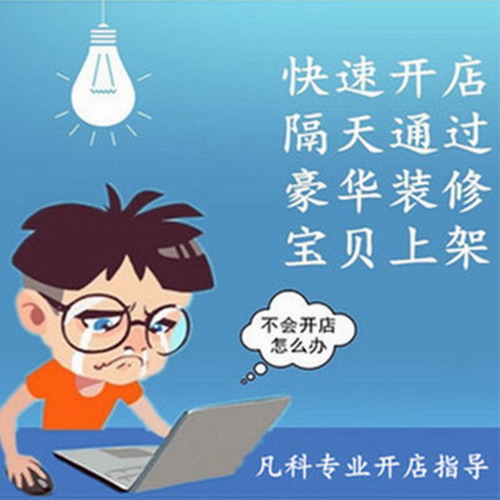淘宝新手店铺代做全程指导代服务开网店一条龙 