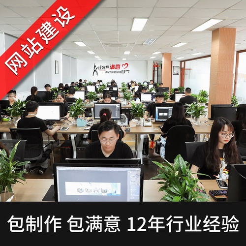 做网站建设一条龙全包公司网站仿站定制开发 